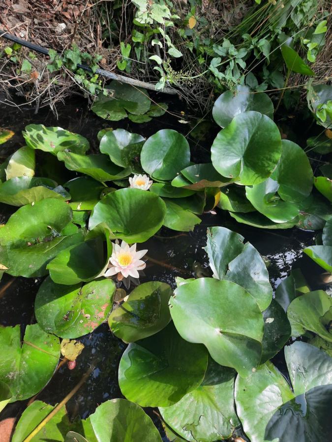 Appartamento I Soffioni La Spezia Bagian luar foto